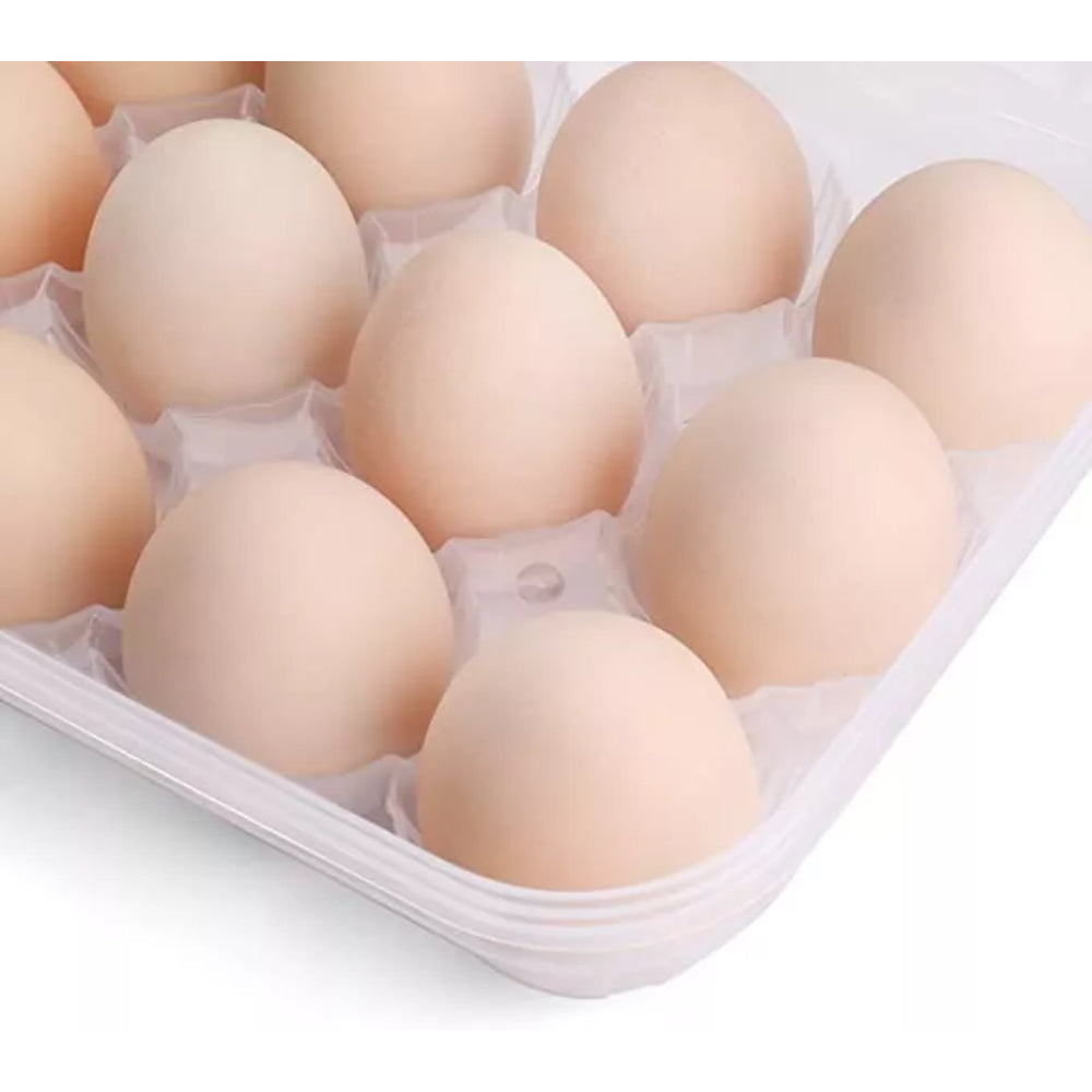 Organizador Huevos Nevera, Caja 15 Uni. Apilable