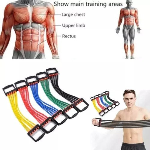 Extensor De Pecho Y Brazos Con 5 Bandas Resistencia