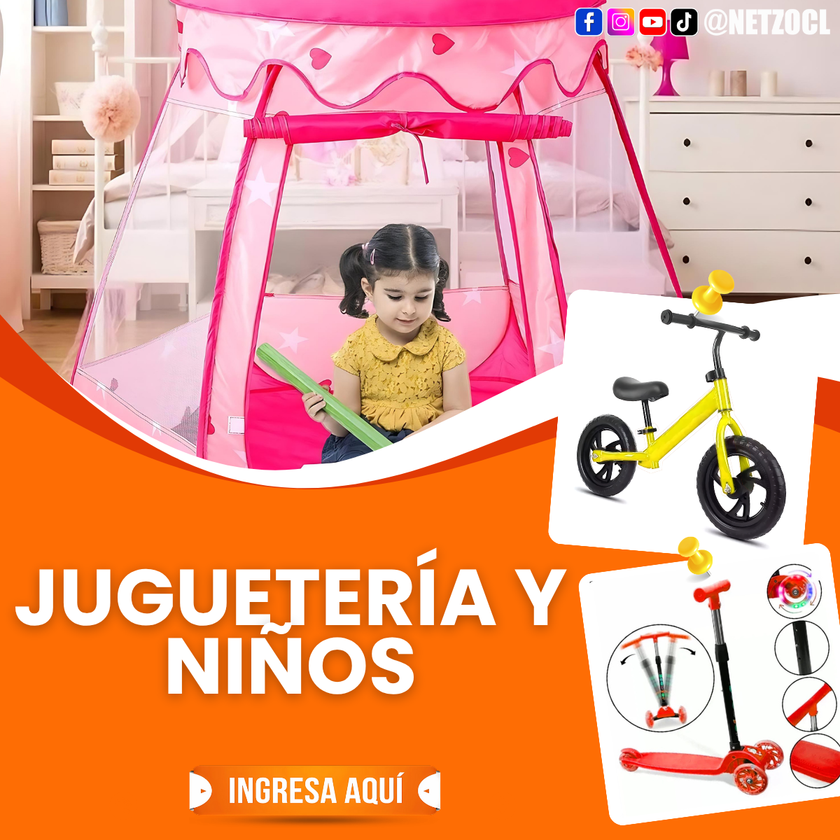 Netzo.cl: Variedad en Productos Envíos a Todo Chile | Concepción Chile